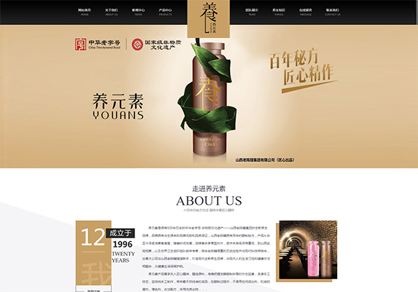石家庄网站建设案例